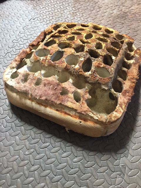 The hole in the seat cushion was a mouse nest!