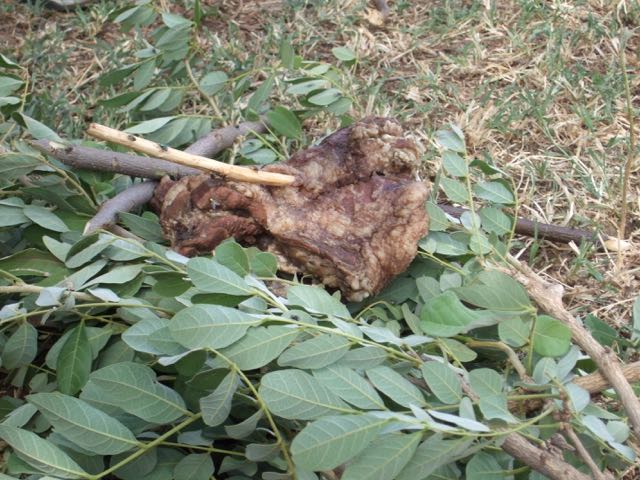 For what we are about to receive&hellip;.